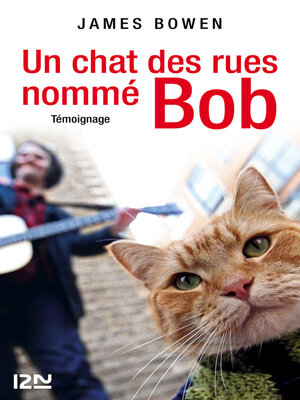 cover image of Un chat des rues nommé Bob